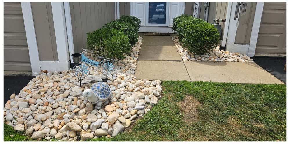 The same entryway after trimming, with neatly rounded shrubs
