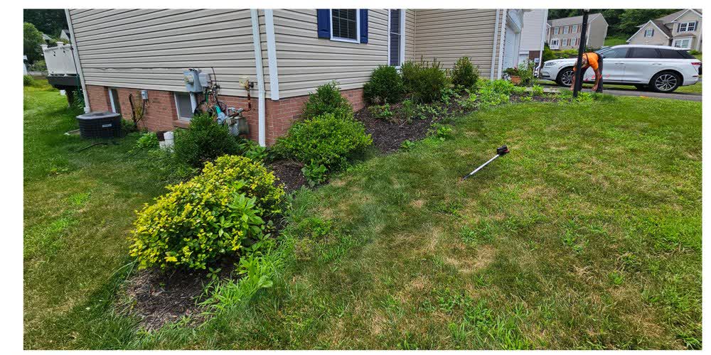 A weedy, overgrown planting bed along a home's foundation before cleanup